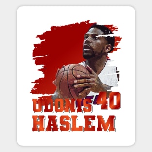 Udonis Haslem | 40 Magnet